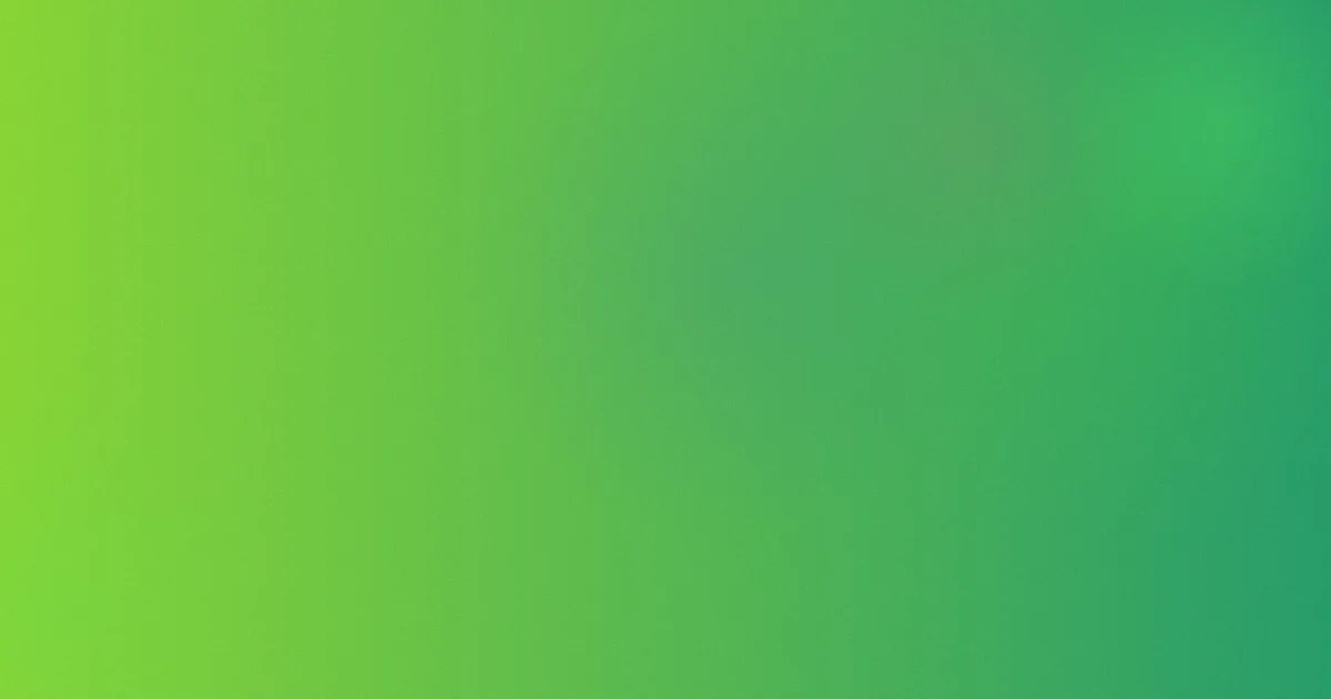 北京乐与路测评：避坑流程